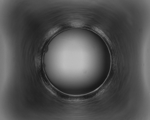 X0000085770533200703231225