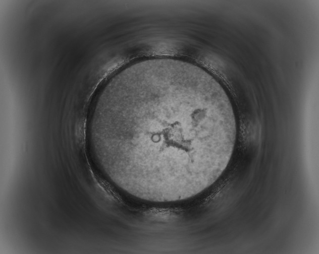 X0000085770534200703231225