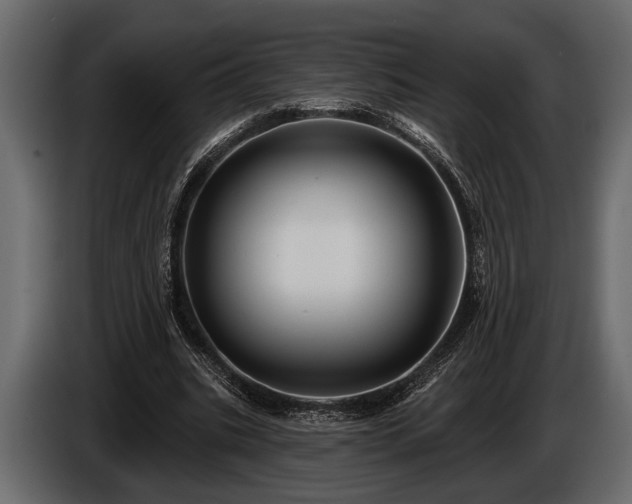 X0000085770535200703231225