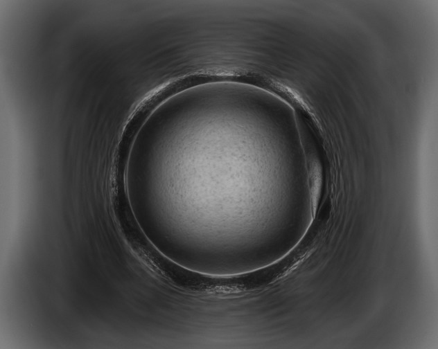 X0000085770536200703231225