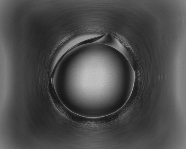 X0000085770538200703231225