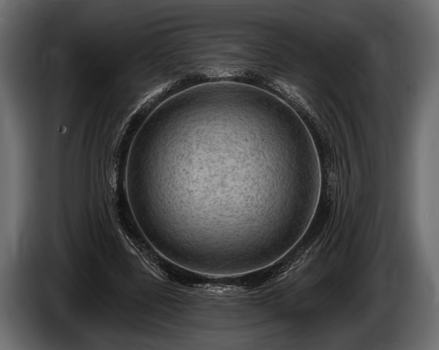 X0000085770539200703231225