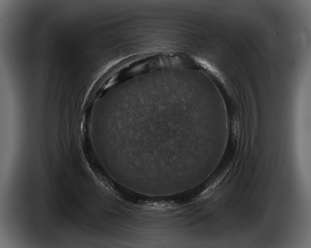 X0000085770540200703231226