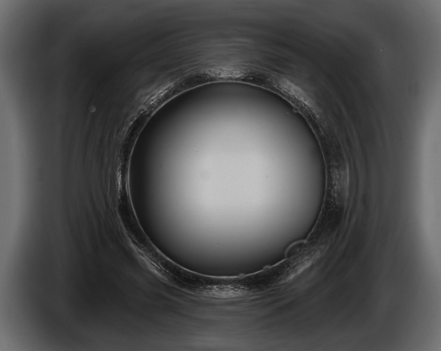 X0000085770541200703231226