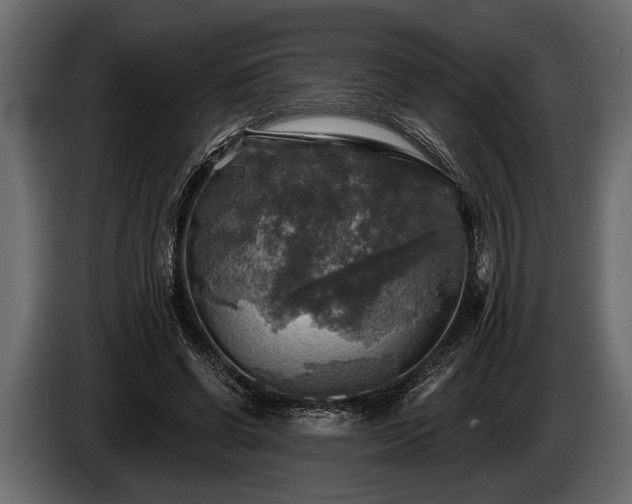 X0000085770542200703231226