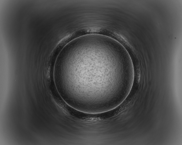 X0000085770543200703231226