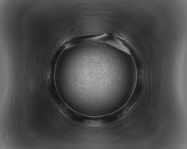 X0000085770548200703231226