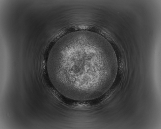 X0000085770555200703231226