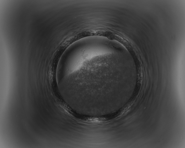 X0000085770558200703231226