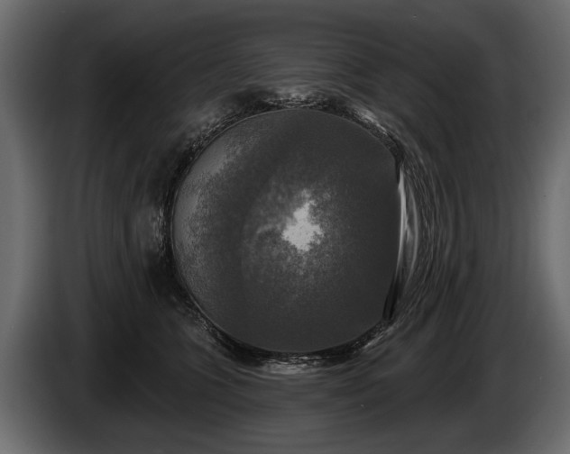 X0000085770563200703231226