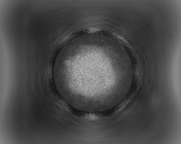 X0000085770565200703231226