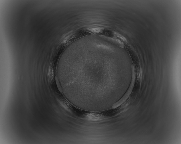 X0000085770568200703231226