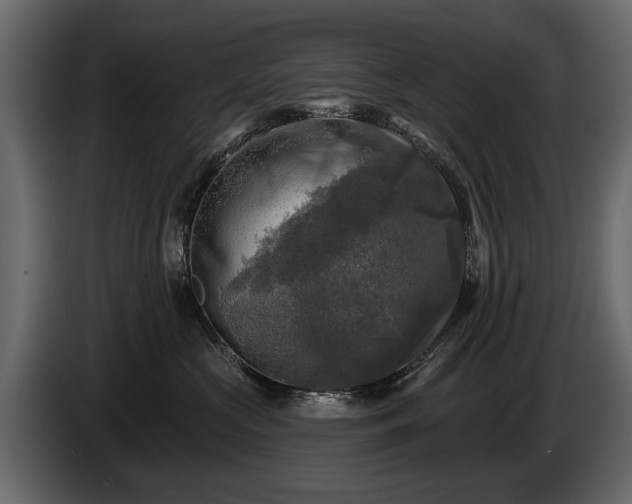 X0000085770573200703231226