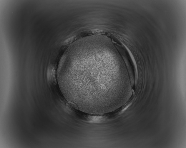 X0000085770575200703231226