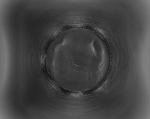 X0000085770576200703231226