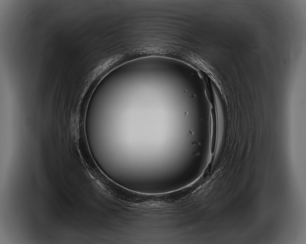 X0000085770578200703231225