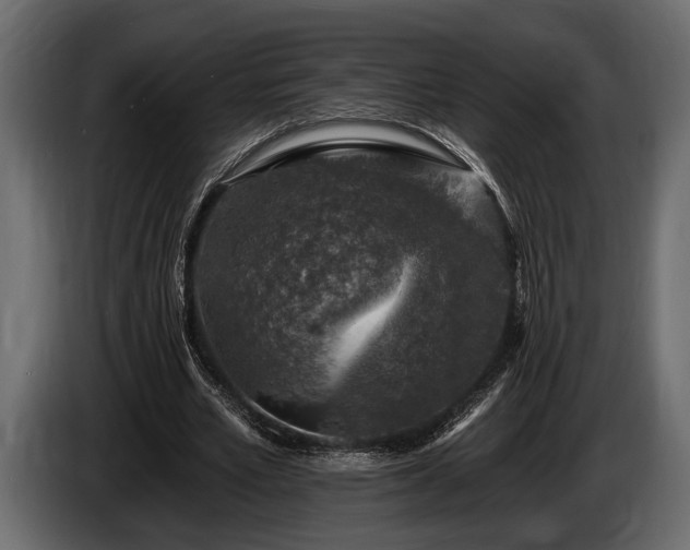 X0000085770581200703231225