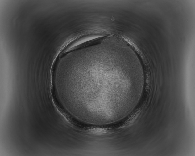 X0000085770582200703231225