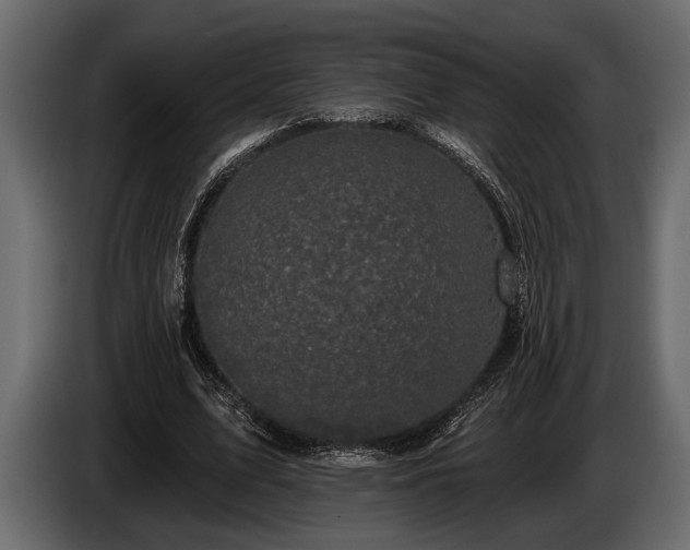 X0000085770583200703231225