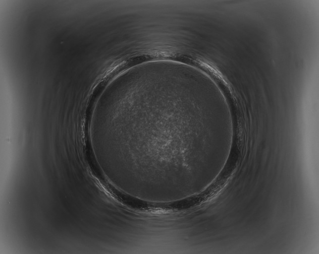 X0000085770585200703231225