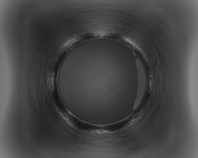 X0000085770590200703231225