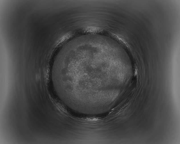 X0000085770591200703231225