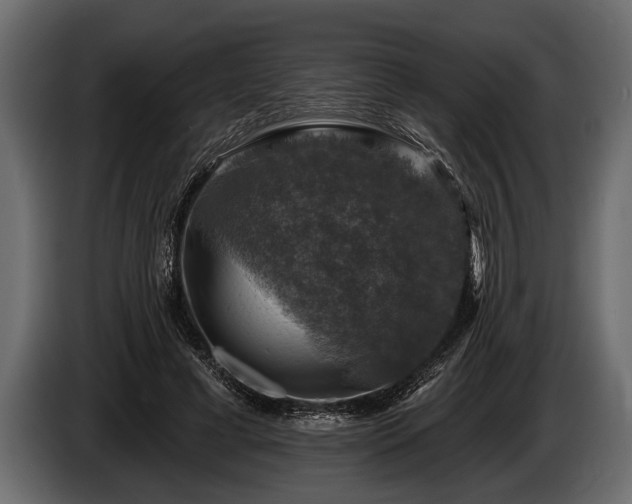 X0000085770593200703231225