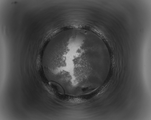 X0000085770594200703231225