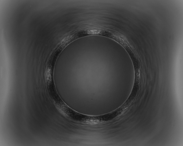 X0000085770598200703231225