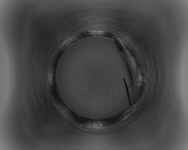 X0000085770600200703231225