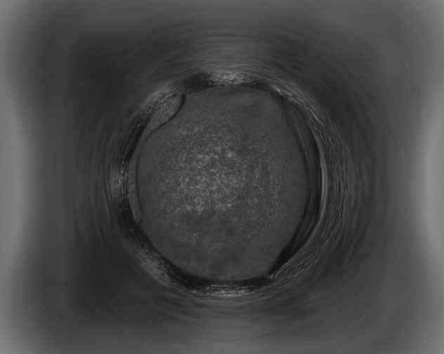 X0000085770601200703231225