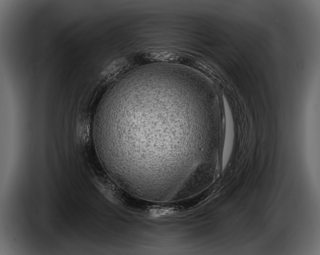 X0000085770602200703231225