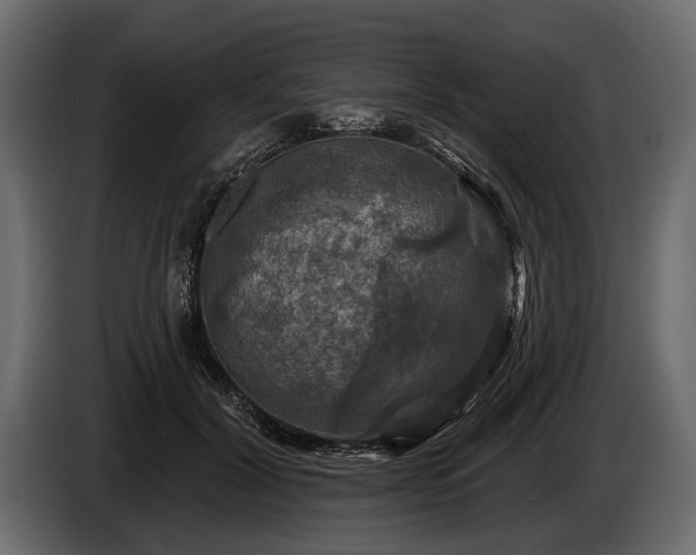 X0000085770604200703231225