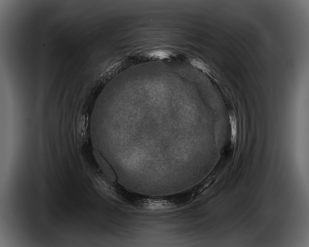 X0000085770605200703231225