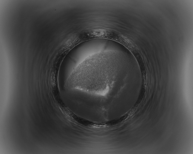 X0000085770606200703231225