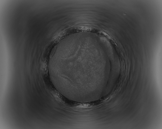 X0000085770609200703231225