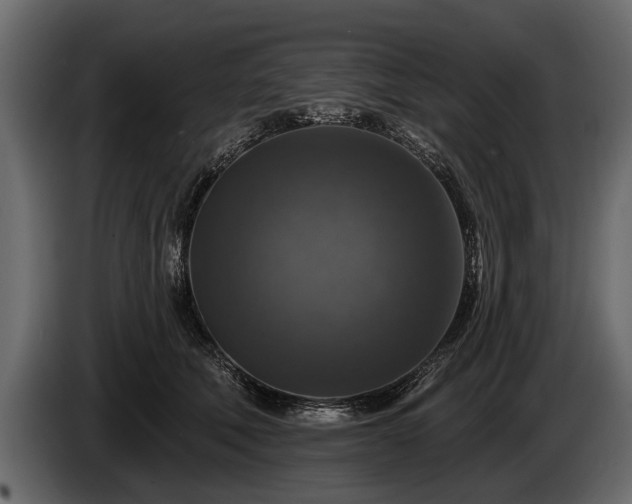 X0000085770610200703231225