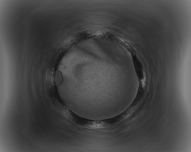 X0000085770612200703231225