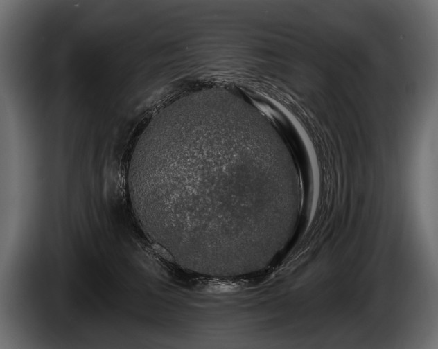 X0000085770613200703231225