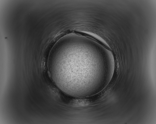 X0000085770615200703231225