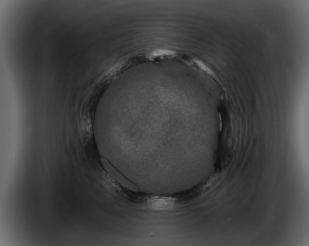 X0000085770617200703231225