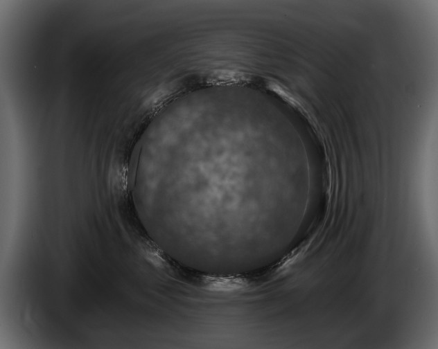 X0000085770621200703231225