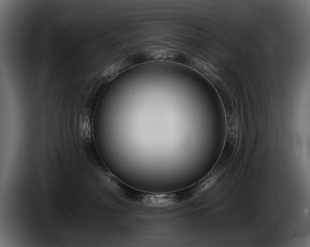 X0000085770622200703231225