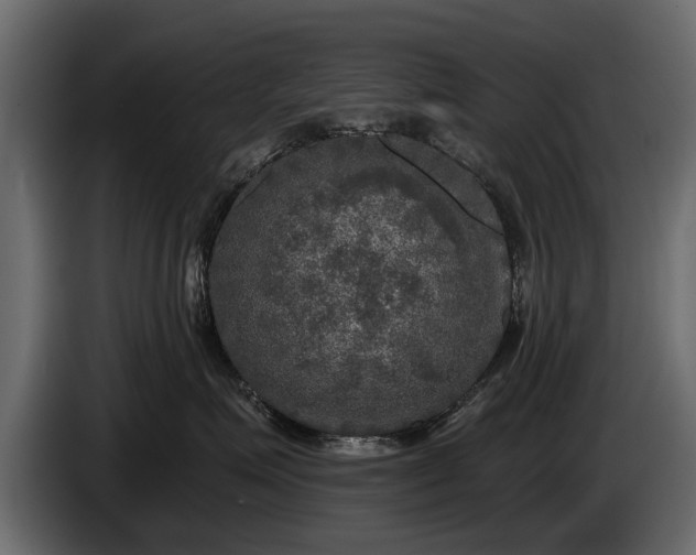 X0000085770623200703231225