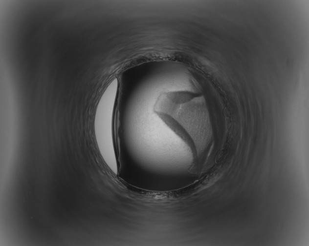 X0000085770624200703231225