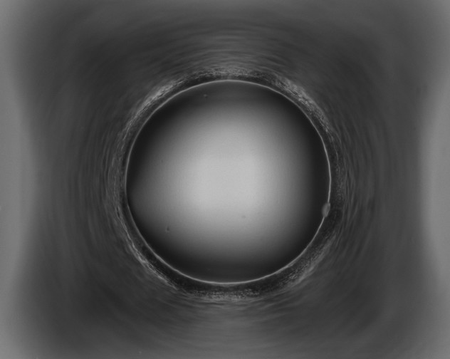 X0000085770625200703231224