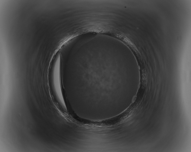 X0000085770626200703231224