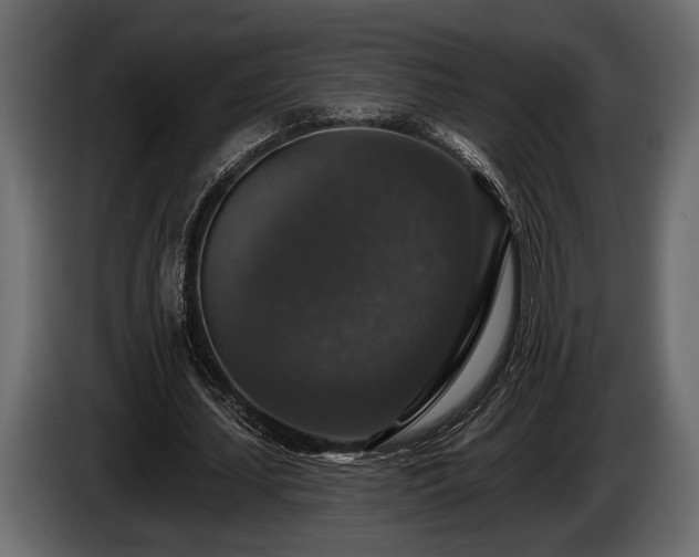 X0000085770627200703231224