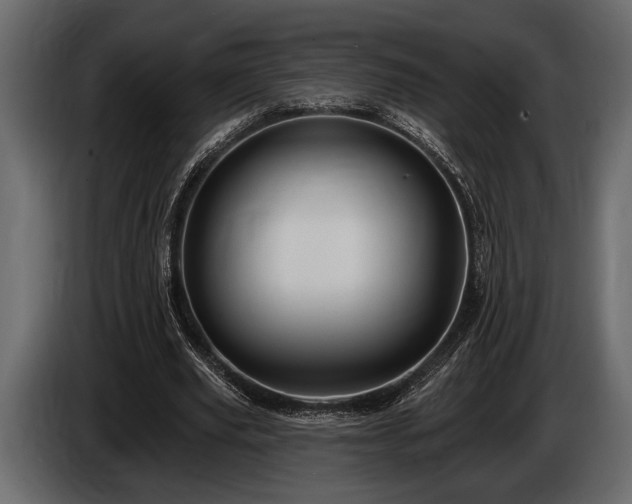 X0000085770629200703231224