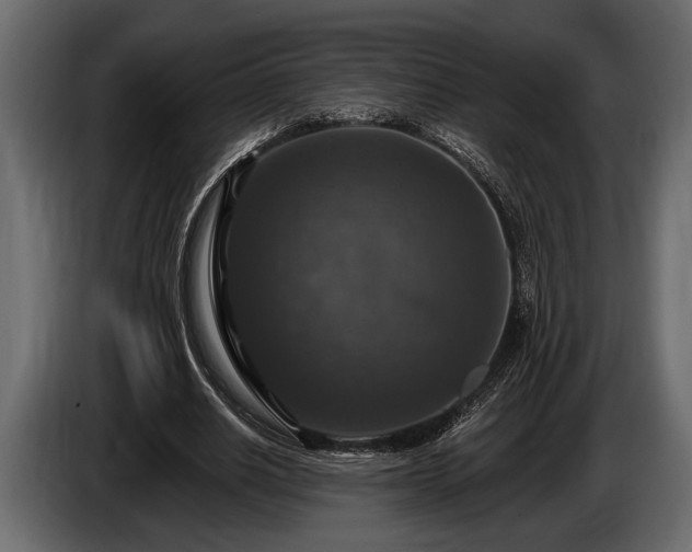 X0000085770630200703231224